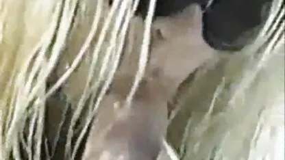 A Mãe Boazona bate grandes mamas falso xxx caseiro amador acariciar